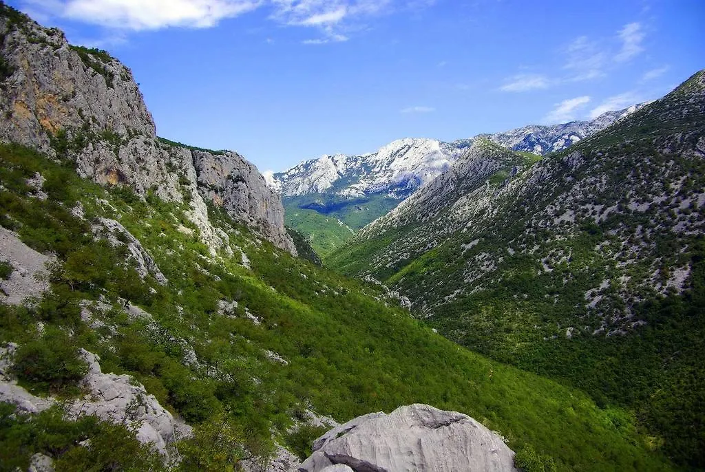Apartments Marija Stari Grad